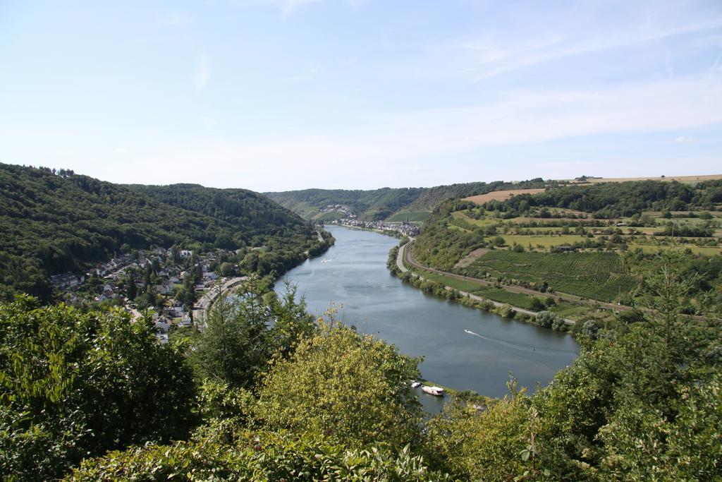 Ferienwohnungen Im Moseltal Loef Exterior photo
