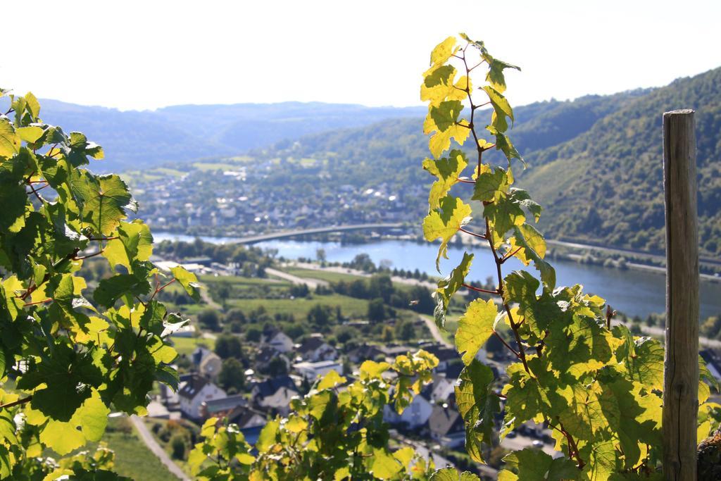Ferienwohnungen Im Moseltal Loef Exterior photo